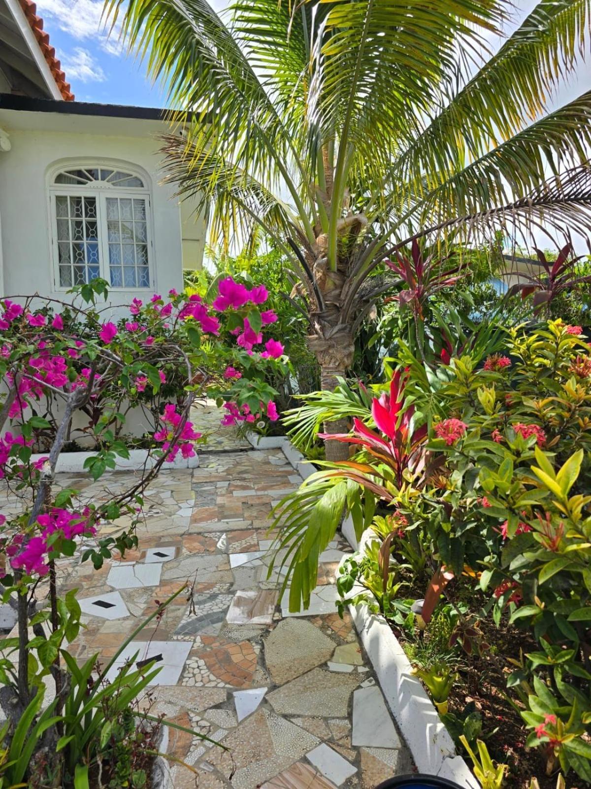 Casa de Férias Paradise Palms Jamaica Vacation Montego Bay
